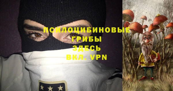 спайс Алексин