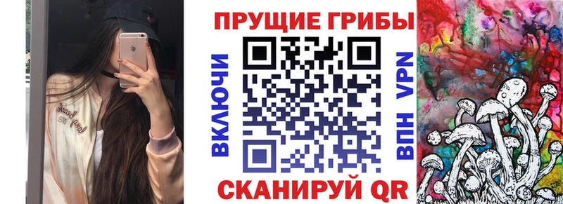блэк спрут вход  Железногорск  Галлюциногенные грибы Cubensis 