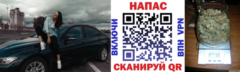 Бошки марихуана план MEGA рабочий сайт Железногорск